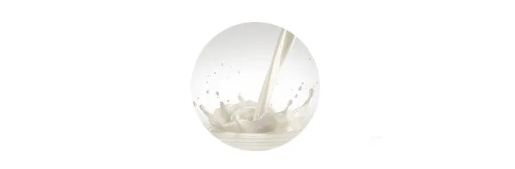 APIEU Honey & Milk Lip Oil 5g