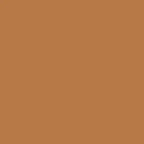BB Cream 5- Dark
