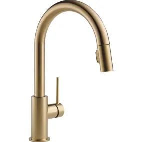 Delta Trinsic Pull-Down Kitchen Faucet 9159-CZ-DST