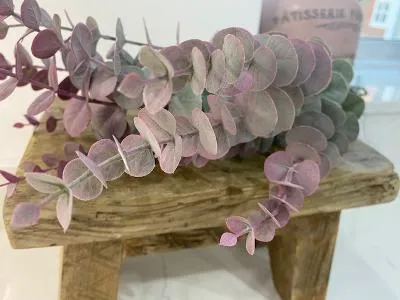 Eucalyptus spray blush pink