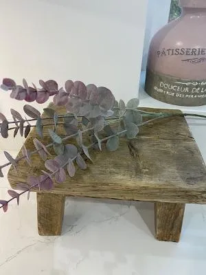 Eucalyptus spray blush pink